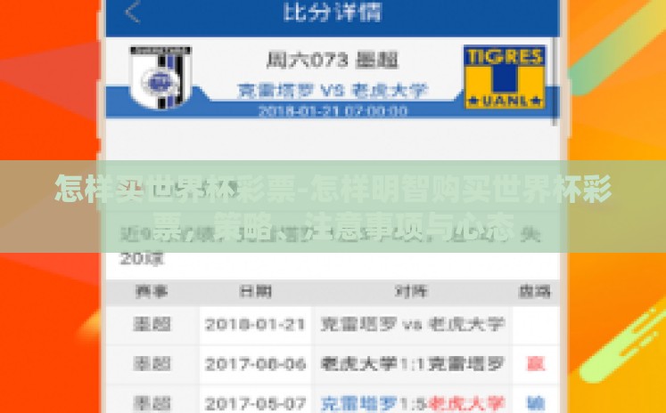 怎样买世界杯彩票-怎样明智购买世界杯彩票，策略、注意事项与心态