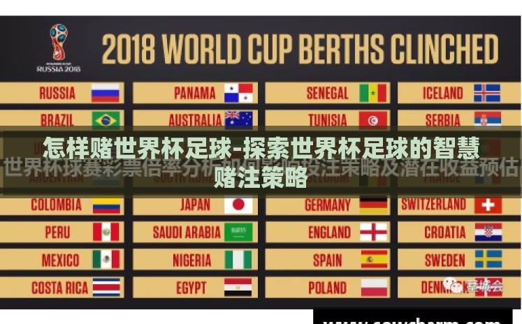 怎样赌世界杯足球-探索世界杯足球的智慧赌注策略