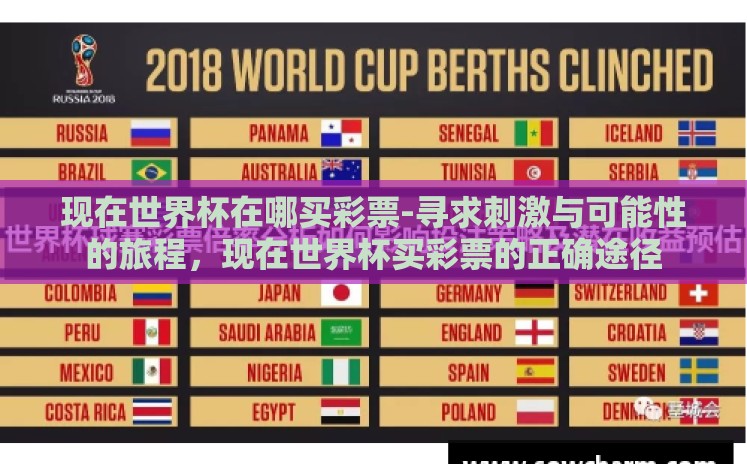 现在世界杯在哪买彩票-寻求刺激与可能性的旅程，现在世界杯买彩票的正确途径