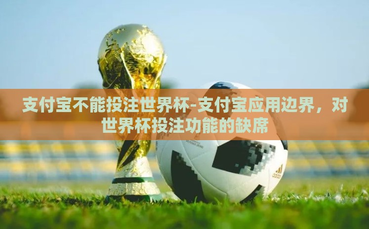 支付宝不能投注世界杯-支付宝应用边界，对世界杯投注功能的缺席