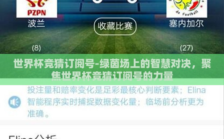 世界杯竞猜订阅号-绿茵场上的智慧对决，聚焦世界杯竞猜订阅号的力量