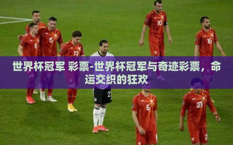 世界杯冠军 彩票-世界杯冠军与奇迹彩票，命运交织的狂欢