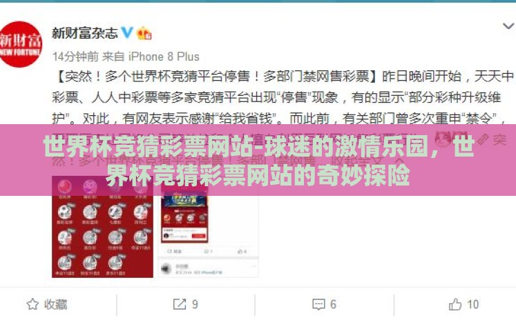 世界杯竞猜彩票网站-球迷的激情乐园，世界杯竞猜彩票网站的奇妙探险
