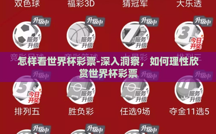 怎样看世界杯彩票-深入洞察，如何理性欣赏世界杯彩票