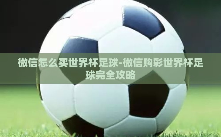 微信怎么买世界杯足球-微信购彩世界杯足球完全攻略