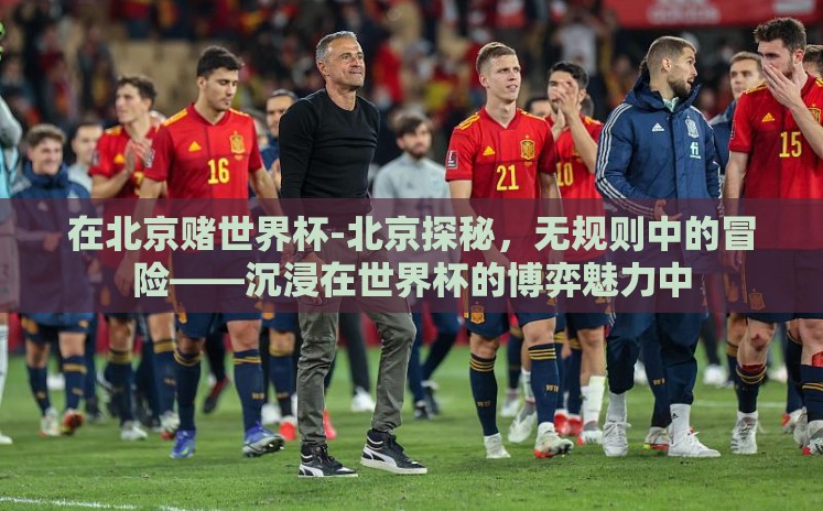 在北京赌世界杯-北京探秘,无规则中的冒险——沉浸在世界杯的博弈魅力中 在北京赌世界杯-北京探秘,无规则中的冒险——沉浸在世界杯的博弈魅力中