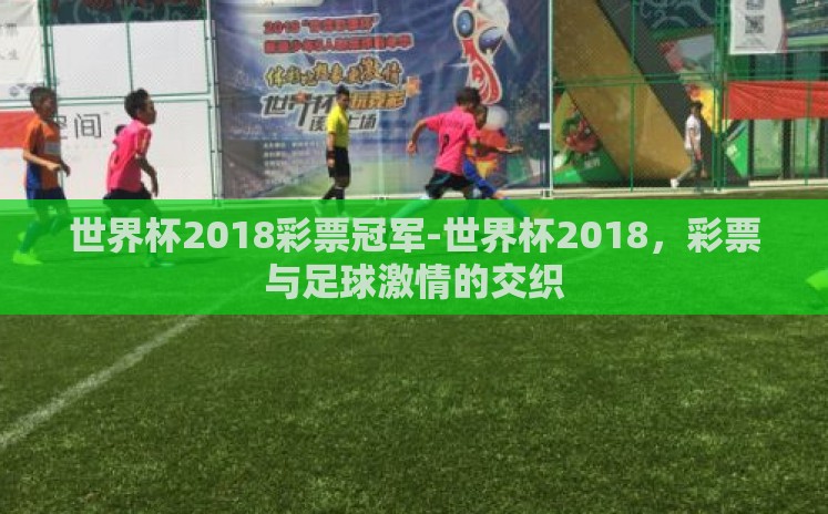 世界杯2018彩票冠军-世界杯2018，彩票与足球激情的交织