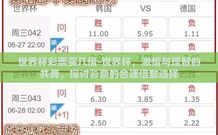 世界杯彩票买几倍-世界杯,激情与理智的共舞,探讨彩票的合理倍数选择 世界杯彩票买几倍-世界杯,激情与理智的共舞,探讨彩票的合理倍数选择