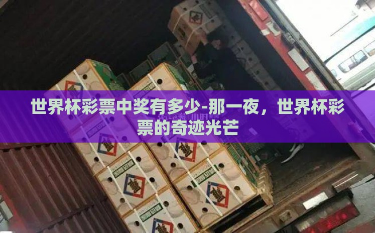 世界杯彩票中奖有多少-那一夜,世界杯彩票的奇迹光芒 世界杯彩票中奖有多少-那一夜,世界杯彩票的奇迹光芒